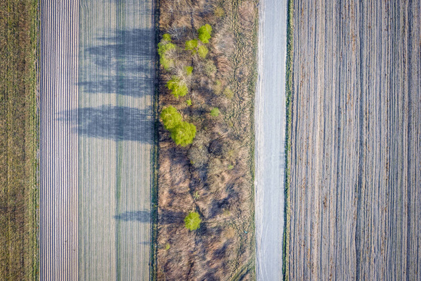 Drone view on a fields near Stary Konik, small village located between Warsaw city and Minsk Mazowiecki town in Poland - Fotoğraf, Görsel