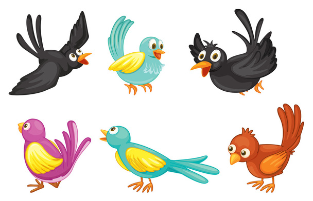 Six colorful birds - Vector, Image
