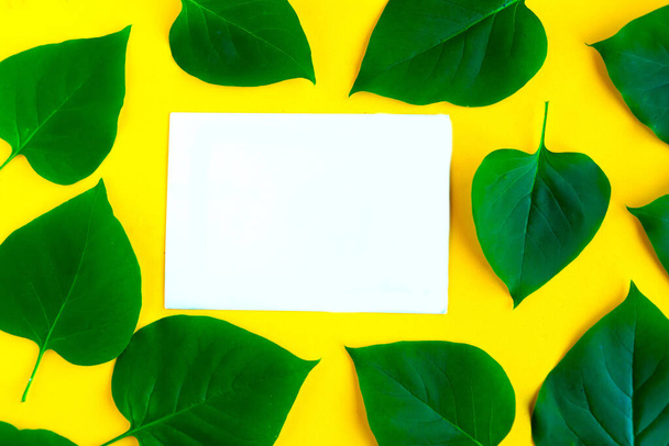 Patrón de hojas verdes frescas brillantes y blanco maqueta en blanco sobre fondo amarillo brillante. Concepto mínimo. Concepto horario de verano
. - Foto, Imagen