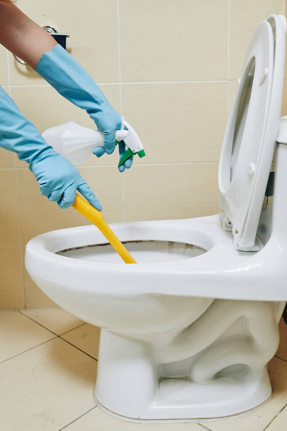 Temizlikçi ya da ev hanımı virüsün yayılmasını önlemek için fırça ve dezenfektanla klozeti temizler. - Fotoğraf, Görsel