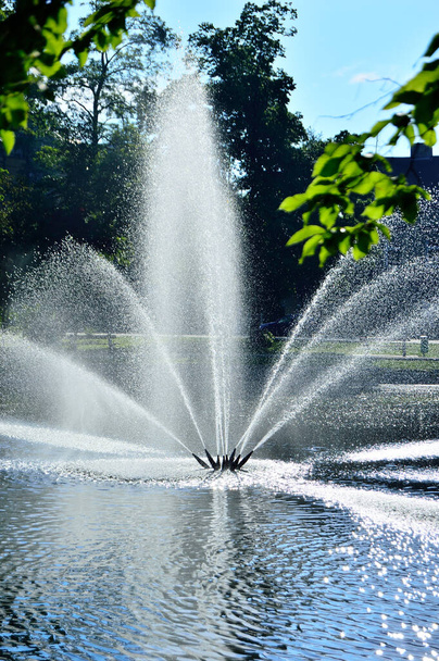 Fontanna tryskająca wodą nad jeziorem na tle zielonych drzew. - Zdjęcie, obraz