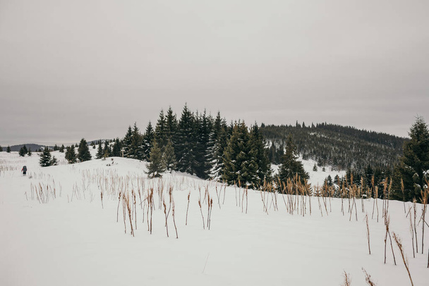 Un grupo de personas de pie en la cima de un campo cubierto de nieve
 - Foto, Imagen