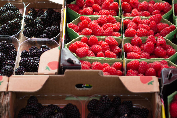 Fresh ripe new harvest blackberries and raspberries in eco paper boxes on street market, food background - Foto, afbeelding