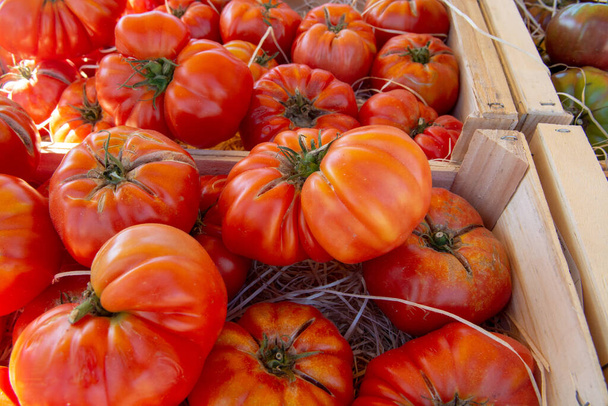 Warzywa Południowej Francji, rolnicy ekologiczne dojrzałe pomidory w asortymencie na lokalnym rynku w Prowansji w lecie - Zdjęcie, obraz