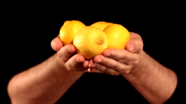  レモンの主なファイルを保持する手 - 映像、動画