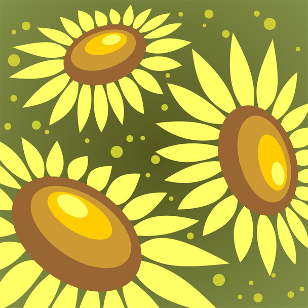 sunflowers background - Photo, Image