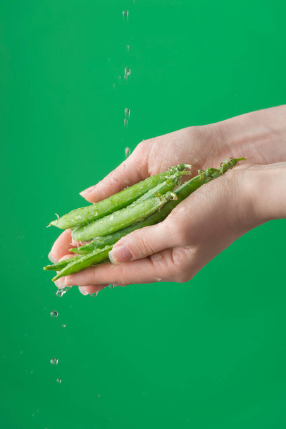 Γυναικεία χέρια πλένουν πράσινα φασόλια μπιζελιού στο πράσινο κορεσμένο φόντο. Έννοια της σημασίας του πλυσίματος λαχανικών σε καραντίνα - Φωτογραφία, εικόνα
