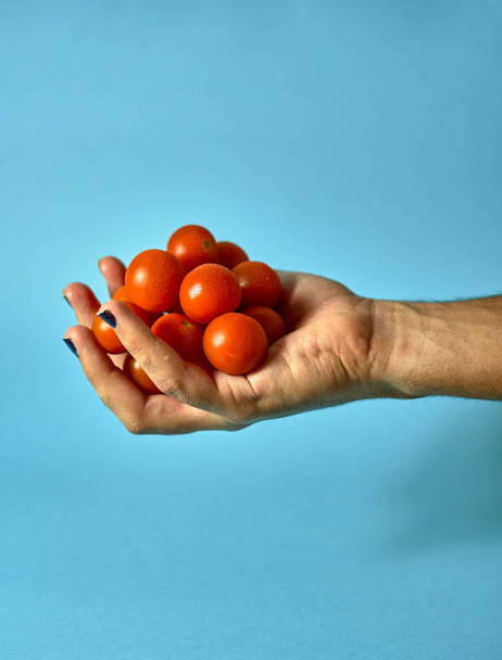 manos con cerezas tomates sobre fondo azul
 - Foto, Imagen