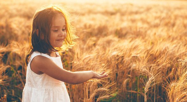 Fille caucasienne en robe blanche marchant dans un champ de blé et touchant avec les mains les graines pendant un coucher de soleil
 - Photo, image
