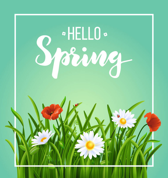 Spring template poster with green grass and flowers, vintage vector illustration - Vector, Image