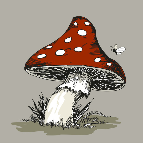Cogumelo Amanita com grama
 - Foto, Imagem