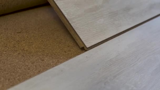 κοντά εγκαθιστά ξύλο laminate πάτωμα στη βάση φελλού. Ανακαίνιση ξύλινων δαπέδων. - Πλάνα, βίντεο