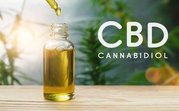 Extractos de aceite de cannabis CBD en frascos de hierbas y hojas. Concepto marihuana medicinal - Foto, imagen