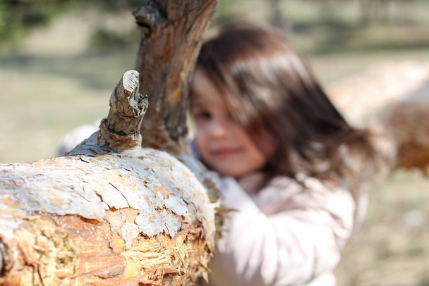 Összpontosított kép egy fenyőfa törzs egy elmosódott csinos lány a háttérben - Fotó, kép