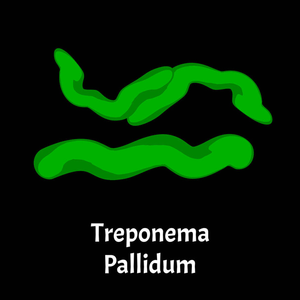 梅毒だ。Treponema pallidum, Spirochaetacea.細菌感染症。性感染症。インフォグラフィックだ。孤立した背景のイラスト. - ベクター画像