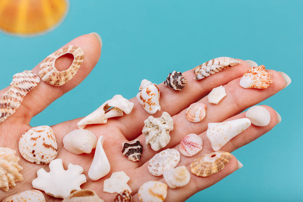 Macro of hand holding different kinds of seashells, corals in front of a blue background, isolated with a caption for text. Vacation concept. - Photo, Image
