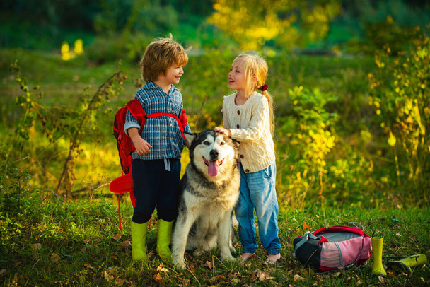 Cute children with dog walking in the field on a sunny summer day. Kids having fun dog pet in field against nature background. Little brother and sister walk with puppy. - Valokuva, kuva