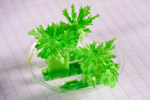 Green, growing radiant crystals close-up on a white background. - 写真・画像