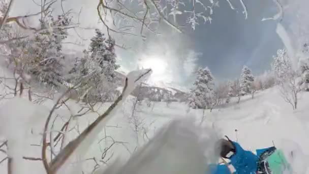 Śmieszne ujęcie narciarza, który rozbił się w głębokim śniegu podczas jazdy na nartach na drzewach.. - Materiał filmowy, wideo
