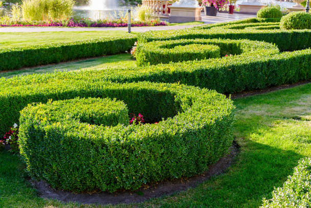 geometric flowerbed in the park - Photo, Image
