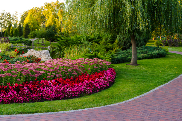 virágágyás virágokkal a parkban a táj design - Fotó, kép