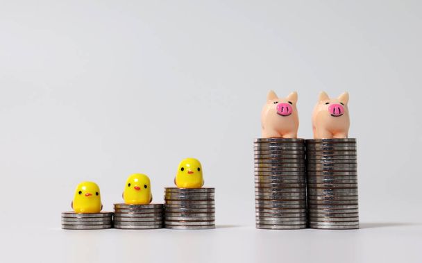 Tre pulcini gialli in miniatura sulle pile di monete a forma di scala e due maiali rosa in miniatura sulle pile di monete a forma di torre
. - Foto, immagini