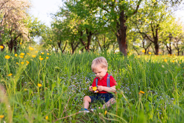 mały chłopiec bawiący się na trawie kolorowe zabawki - Zdjęcie, obraz