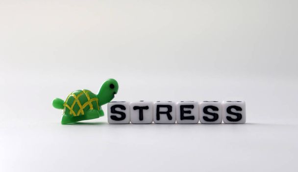The word STRESS on white cubes with Miniature Turtle. - Photo, Image