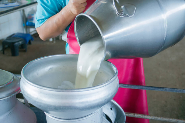 Pour raw milk into a bucket.   - Photo, Image