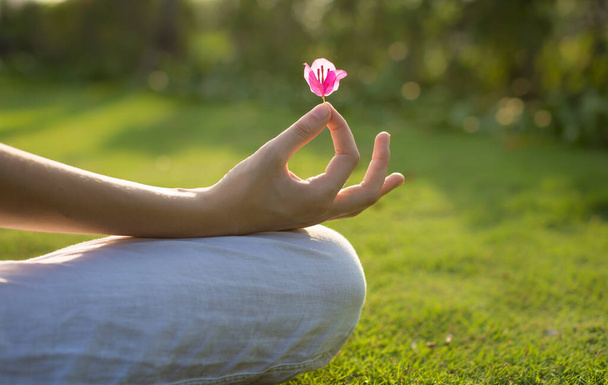 Primer plano de una hembra y haciendo el símbolo del loto del yoga sosteniendo una flor hermosa con un fondo verde de la naturaleza
. - Foto, imagen