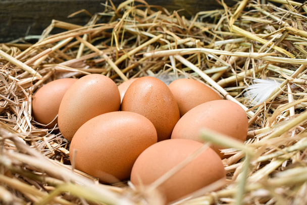 Yuvadaki birçok yumurta samandan yapılır. Çiftlikteki tavuklardan elde edilen yiyecekler. Çiftçilerden sağlıklı ürünler. Kırsal bölgelerden ürünler. - Fotoğraf, Görsel