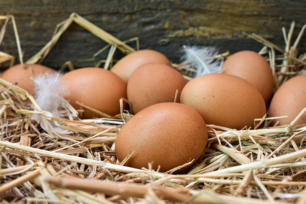 Mnoho vajíček v hnízdě je ze slámy. Potraviny získané z kuřat na farmách. Zdravé produkty od zemědělců. Produkty z venkovských oblastí. - Fotografie, Obrázek