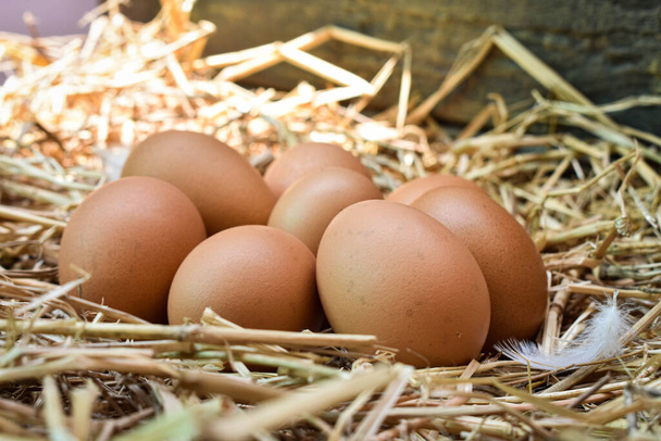 Muitos ovos no ninho são feitos de palha. Alimentos obtidos a partir de galinhas em explorações agrícolas. Produtos saudáveis dos agricultores. Produtos das zonas rurais
. - Foto, Imagem