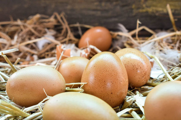 Πολλά αυγά στη φωλιά είναι φτιαγμένα από άχυρο. Τρόφιμα που λαμβάνονται από κοτόπουλα σε εκμεταλλεύσεις. Υγιή προϊόντα από αγρότες. Προϊόντα από αγροτικές περιοχές. - Φωτογραφία, εικόνα
