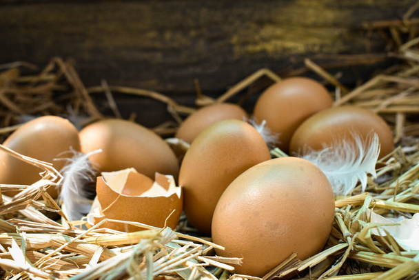 Monet pesän munat on valmistettu oljesta. Maatiloilla kasvatetuista kanoista saatava ruoka. Terveellisiä tuotteita maanviljelijöiltä. Maaseutualueiden tuotteet. - Valokuva, kuva