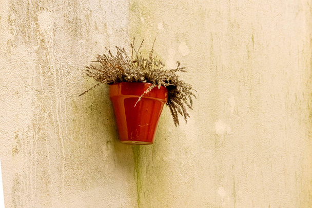 Flowerpot with heather in a red pot hanging on the wall. - Photo, Image