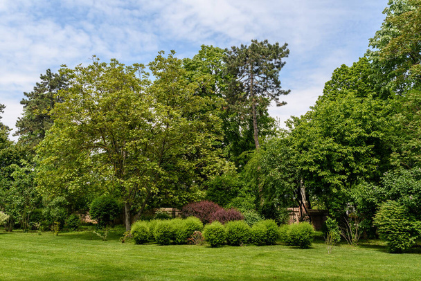 Minimalistische Gartenlandschaft mit Bäumen, Sträuchern und verschiedenen Pflanzen an einem bewölkten Tag in Schottland, Großbritannien, typisch britischer Landhausgarten mit Platz für Text - Foto, Bild