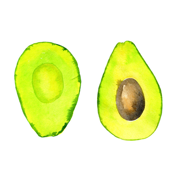 watercolor avocado isolated on white - Photo, Image