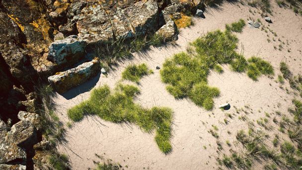 Концепція глобального потепління. Кілька тріщин трави у формі світових континентів, що ростуть на тріщинному бруді. 3D візуалізація
. - Фото, зображення