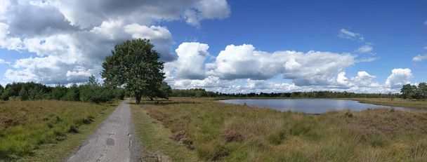 Panoramisch landschap vanuit Nationaal Park Drents-Friese Wold in Nederland - Foto, afbeelding