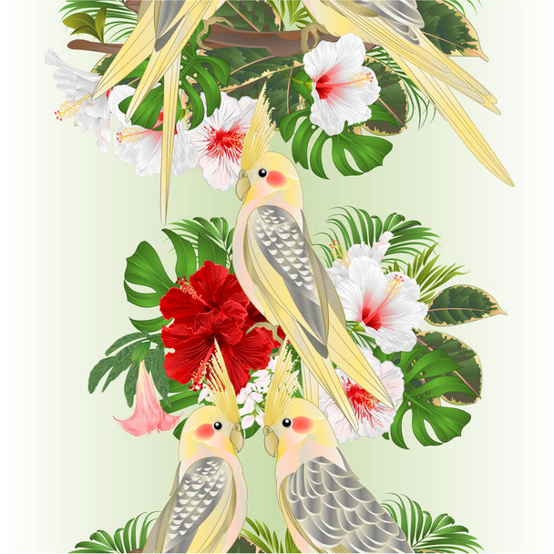 Verticale rand naadloze achtergrond papegaaien geel cockatiel schattig tropische vogel en rood en wit hibiscus aquarel stijl op een groene achtergrond vintage vector illustratie bewerkbare hand tekenen - Vector, afbeelding