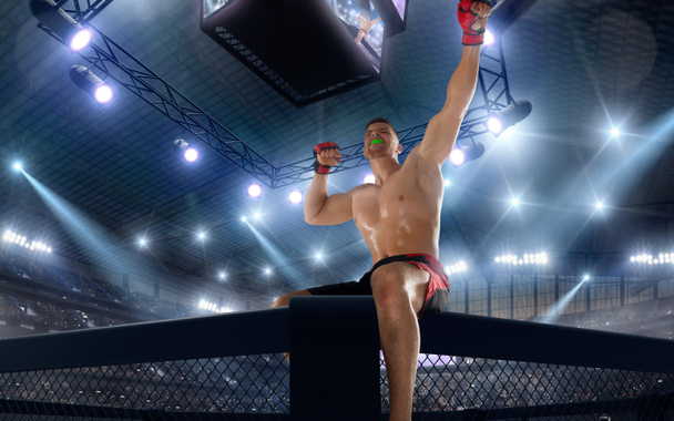MMA fighter. Fighting Championship. - Photo, Image