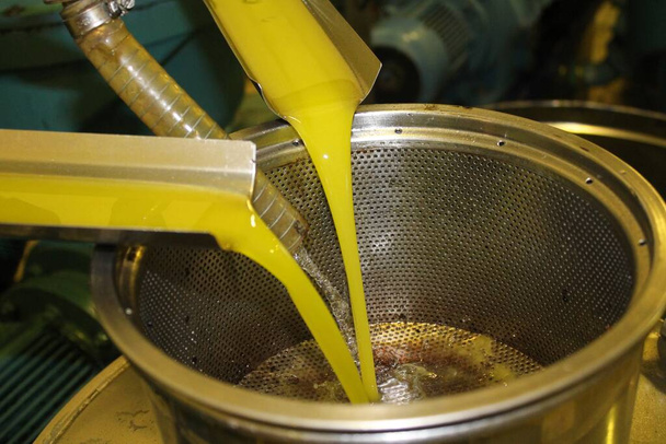 Διαδικασία εκχύλισης εξαιρετικά παρθένου ελαιολάδου σε ελαιοτριβείο στην Ελλάδα. - Φωτογραφία, εικόνα