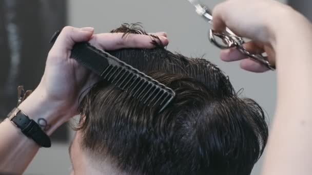 Professionelle weibliche Friseurin kämmt Männerhaare. Friseur arbeitet im Salon - Filmmaterial, Video