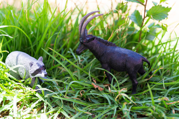 animal toys in green grass - Photo, Image