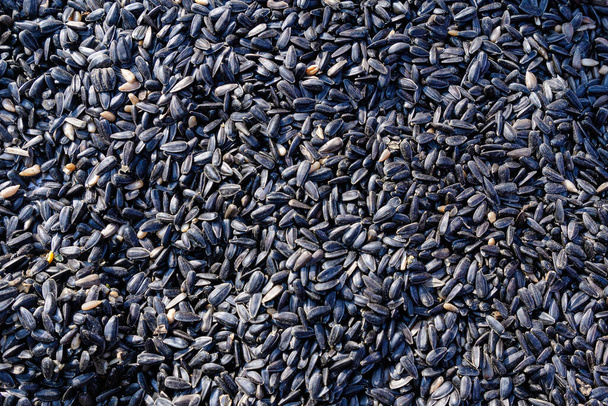 Primer plano de semillas de girasol secas que se utilizarán como alimento para animales, expuestas para la venta en un mercado, fotografiadas con enfoque suave
 - Foto, Imagen