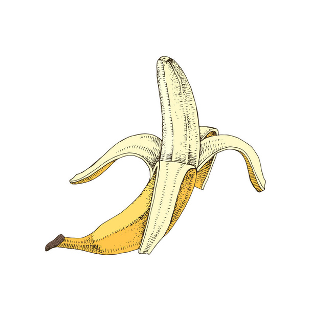 Half peeled hand drawn banana - Vetor, Imagem