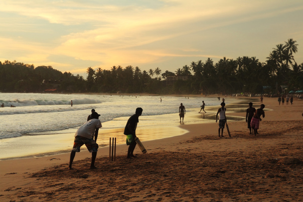 Cricket game - Photo, Image