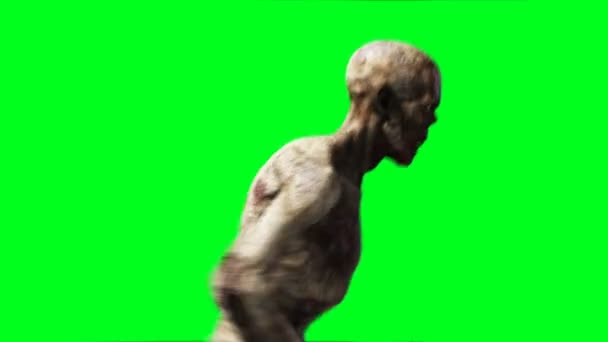 Zombie animation. Phisical motion blur. Realistic green screen 4k animation. Green screen - Filmati, video