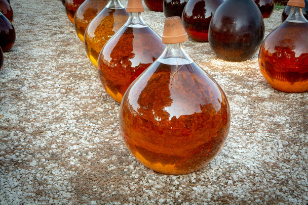 Fazendo de sobremesa doce natural licor de moscatel vinho branco fora em grandes garrafas demijohn de vidro redondo antigo em Frontignan, França
 - Foto, Imagem